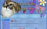 cntrydolls