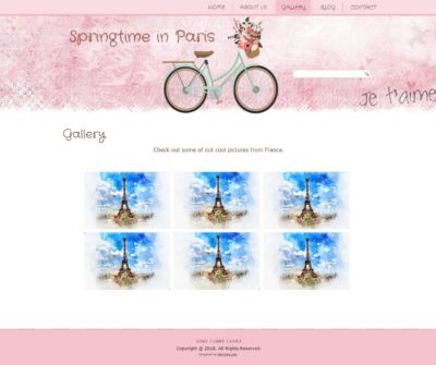 Springtime in Paris Gallery