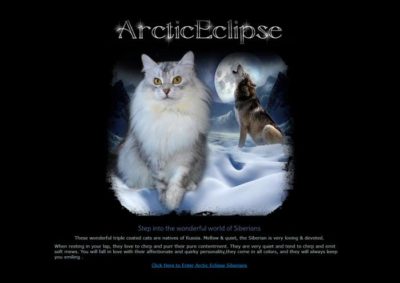 ArcticEclipse