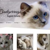 badgerrags