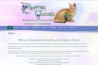 Zayena Ocicats