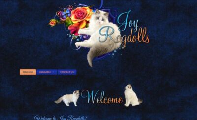 Joy Ragdolls