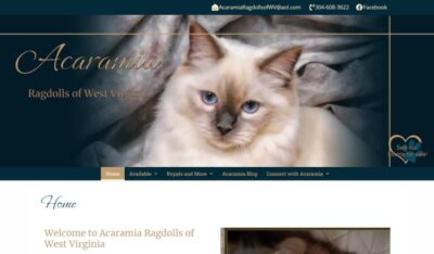Acaramia Ragdolls of WV