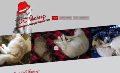 DnD Washrags Ragdoll Cattery