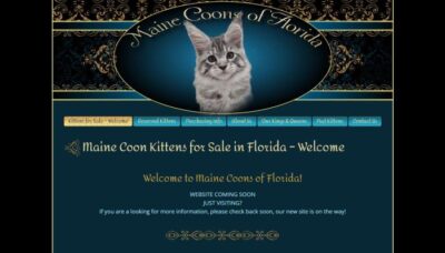 Maine Coons of Florida