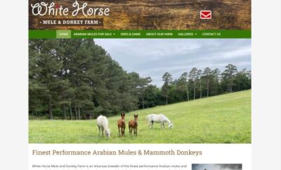 White Horse Farms