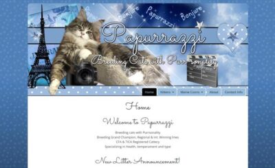 papurrazzi Maine coons