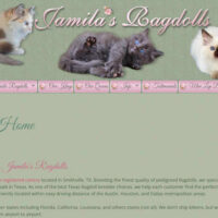 Jamila's Ragdolls