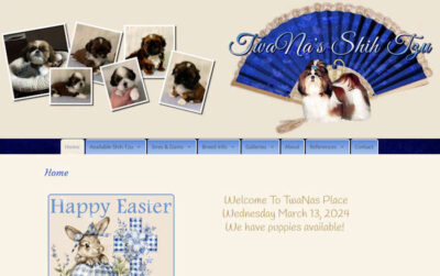 Twana's Shih Tzu