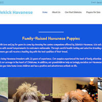 sidekick havanese