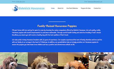 sidekick havanese