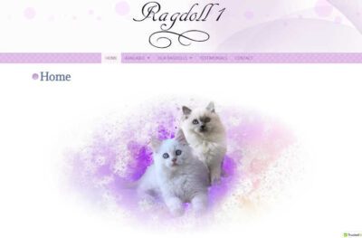 Ragdoll 1