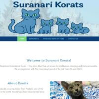 Suranari Korats